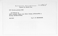 Image Associated With the Occurrence